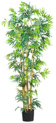5214 Bambusa Bamboo Artificial Tree with Planter by Nearly Natural | 6 feet