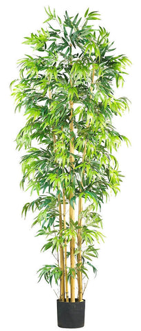 5215 Bambusa Bamboo Artificial Tree with Planter by Nearly Natural | 7 feet