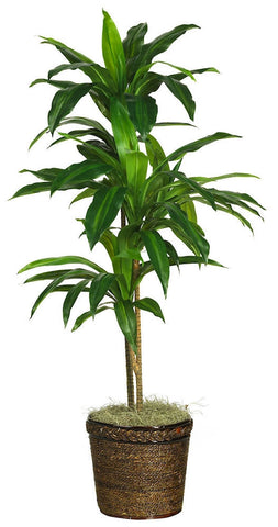 Dracaena Artificial Tree with Planter by Nearly Natural | 4 feet ...