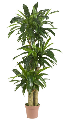 6584 Cornstalk Dracaena Silk Tree w/Planter by Nearly Natural | 57 inches