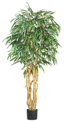 5213 Willow Narrow Leaf Ficus Silk Tree by Nearly Natural | 6 feet