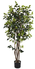 5333 Weeping Fig Ficus Silk Tree with Planter by Nearly Natural | 60 inches