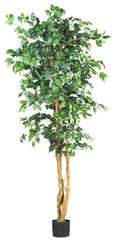 5209 Weeping Fig Ficus Silk Tree with Planter by Nearly Natural | 6 feet