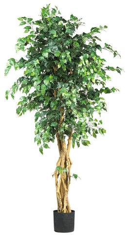 5216 Weeping Fig Ficus Silk Tree with Planter by Nearly Natural | 72 inches