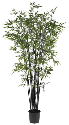 5277 Black Bamboo Silk Tree with Planter by Nearly Natural | 78 inches