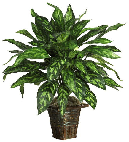 6615 Chinese Evergreen Silver King Silk Plant by Nearly Natural | 31 inches