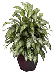 6693 Chinese Evergreen Silver Queen Silk Plant by Nearly Natural | 38"