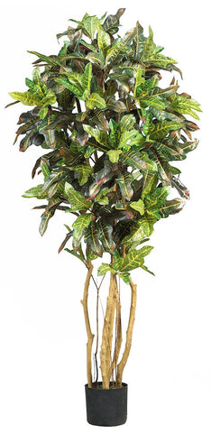 5180 Croton Artificial Silk Tree with Planter by Nearly Natural | 5 feet