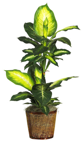 6593-0307 Golden Dieffenbachia Silk Plant by Nearly Natural | 42 inches