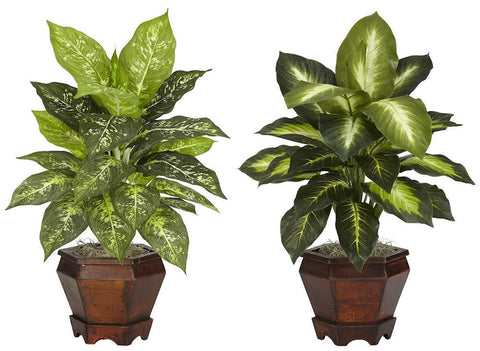6712-S2-AS Assorted Dieffenbachia Set/2 Silk Plants in 3 combos by Nearly Natural | 20.5"