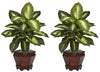 6712-S2-GD Golden Dieffenbachia Set/2 Silk Plants in 3 combos by Nearly Natural | 20.5"
