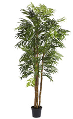 5312 Neanthe Bella Palm Silk Tree with Planter by Nearly Natural | 6 feet
