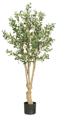 Olive Artificial Silk Tree with Nursery Planter | 5 feet