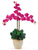 1017-BU Beauty Phalaenopsis Silk Orchid in 8 colors by Nearly Natural | 27 inches