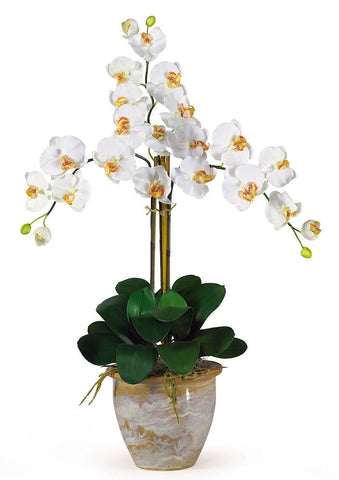 1017-CR Cream Phalaenopsis Silk Orchid in 8 colors by Nearly Natural | 27 inches