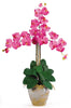 1017-DP Dark Pink Phalaenopsis Silk Orchid in 8 colors by Nearly Natural | 27 inches
