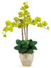 1017-GR Green Phalaenopsis Silk Orchid in 8 colors by Nearly Natural | 27 inches
