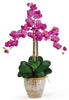 1017-OR Orchid Phalaenopsis Silk Orchid in 8 colors by Nearly Natural | 27 inches