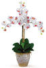 1017-WH White Phalaenopsis Silk Orchid in 8 colors by Nearly Natural | 27 inches