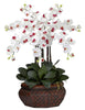 1201-WH White Large Phalaenopsis Silk Orchid in 8 colors by Nearly Natural | 30"