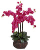 1211-BU Beauty Phalaenopsis Silk Orchid in 8 colors by Nearly Natural | 31 inches