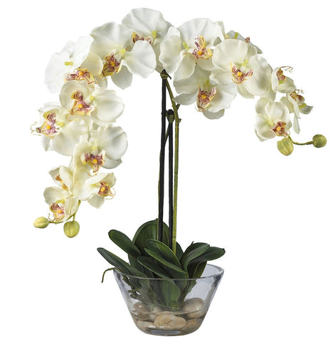 4643-WH White Silk Phalaenopsis in Water in 2 colors by Nearly Natural | 18 inches