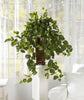 6703 Vining Pothos Silk Plant with Planter by Nearly Natural | 3 feet