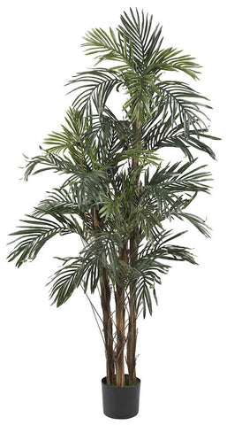 5283 Robellini Palm Artificial Tree w/Planter by Nearly Natural | 5 feet