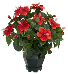 6691 Hibiscus Silk Plant with Black Planter by Nearly Natural | 20 inches