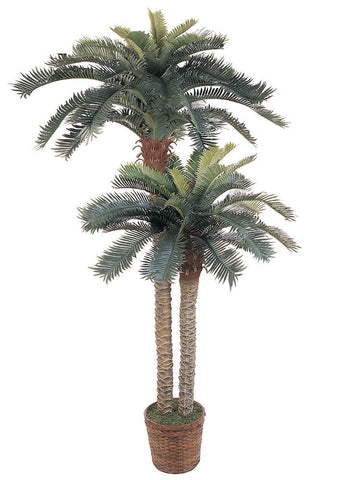 5033 Sago Palm Silk Tree with Wicker Basket by Nearly Natural | 4 & 6 feet