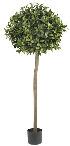 5310 Sweet Bay Silk Standard Topiary Tree by Nearly Natural | 5 feet