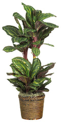 6591-0308 Maranta Artificial Plant with Planter by Nearly Natural | 45 inches