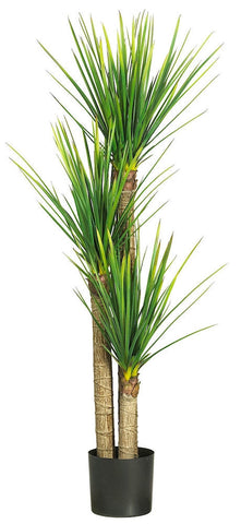 5237 Yucca Silk Tree with Black Planter by Nearly Natural | 58.5 inches