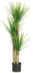 5237 Yucca Silk Tree with Black Planter by Nearly Natural | 58.5 inches