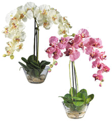 4643 Silk Phalaenopsis in Water in 2 colors by Nearly Natural | 18 inches