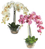 4643 Silk Phalaenopsis in Water in 2 colors by Nearly Natural | 18 inches