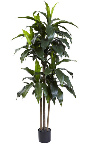 5446 Dracaena Indoor Outdoor Silk Tree with Planter by Nearly Natural | 60"