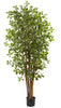 5463 Black Olive Artificial Silk Tree with Planter by Nearly Natural | 72"