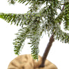 5467 Iced Pine Silk Christmas Tree with Planter by Nearly Natural | 36"