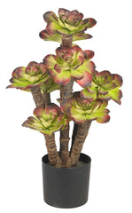 6567 Echeveria Silk Plant w/Black Planter by Nearly Natural | 19.5 inches