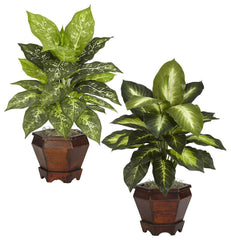 6712-S2 Dieffenbachia Set/2 Silk Plants in 3 combos by Nearly Natural | 20.5"