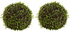 6805-S2 Muehlenbeckia Set/2 Ball Topiary Plants by Nearly Natural | 9 inches