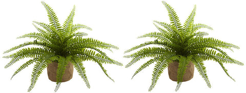 6814-S2 Boston Fern Set of 2 Silk Plants with Planters by Nearly Natural | 15"