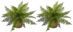 6815-S2 Ruffle Fern Set of 2 Silk Plants with Planters by Nearly Natural | 14"