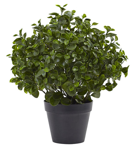 Peperomia Indoor Outdoor Artificial Plant with Planter | 23 inches