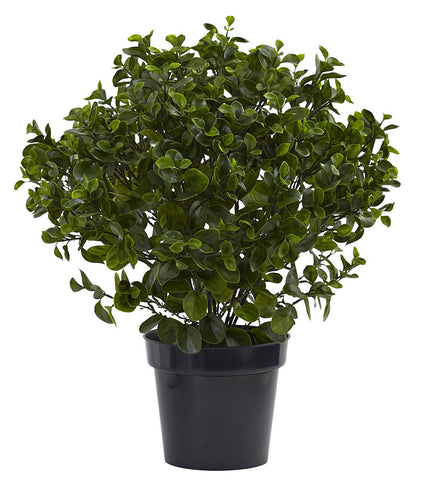 6860 Peperomia Indoor Outdoor Artificial Plant by Nearly Natural | 28"
