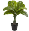 6867-S3 Mini Areca Fountain Banana Palm S3 Faux Plants by Nearly Natural | 16"