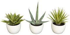 4769 Agave Set of 3 Silk Plants by Nearly Natural | up to 8.5 inches