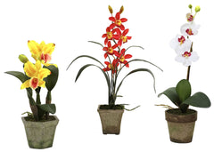 4985-A3-S3 Cattleya Cymbidium Phalaenopsis Orchids A3 S/3 by Nearly Natural | 19"