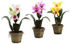 4067-AS-S3 Cattleya Orchid Set of 3 Silk Plants by Nearly Natural | 14.5 inches
